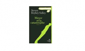 Steven Boykey Sidley - Meyer et la catastrophe